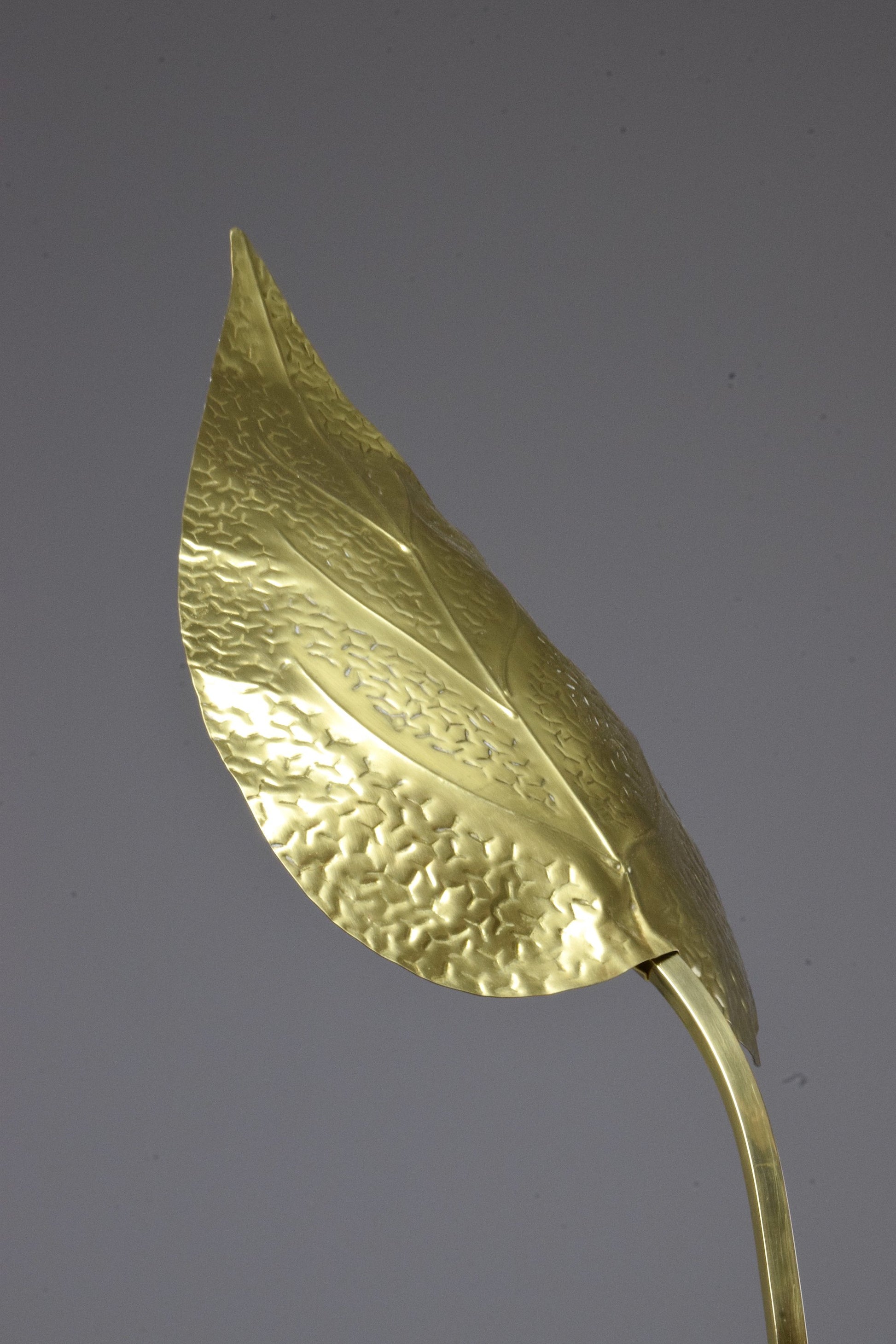 20th Century Rare Brass Floor Lamp by Tommaso Barbi, 1970's - Spirit Gallery