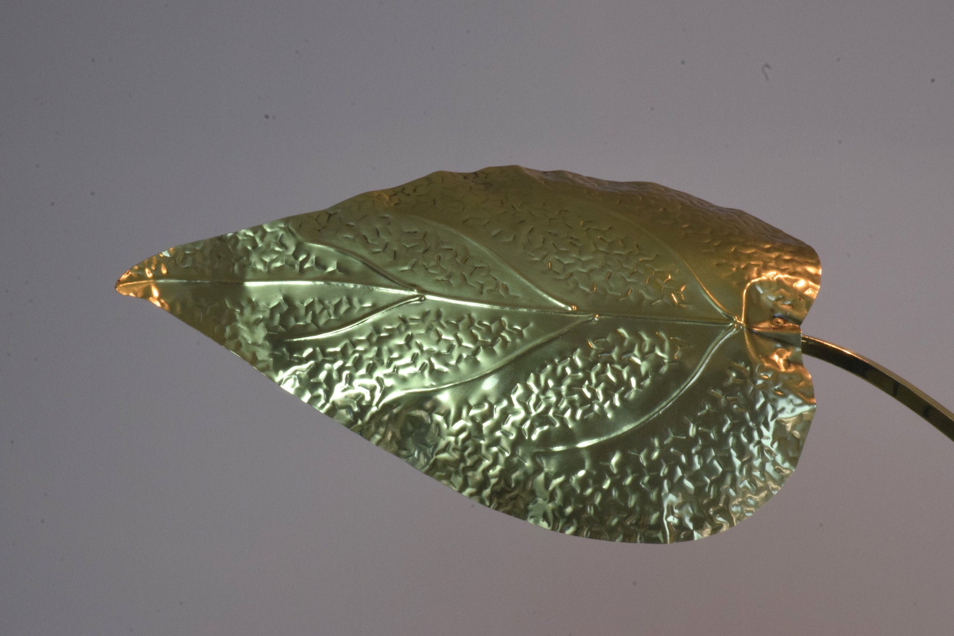 20th Century Rare Brass Floor Lamp by Tommaso Barbi, 1970's - Spirit Gallery