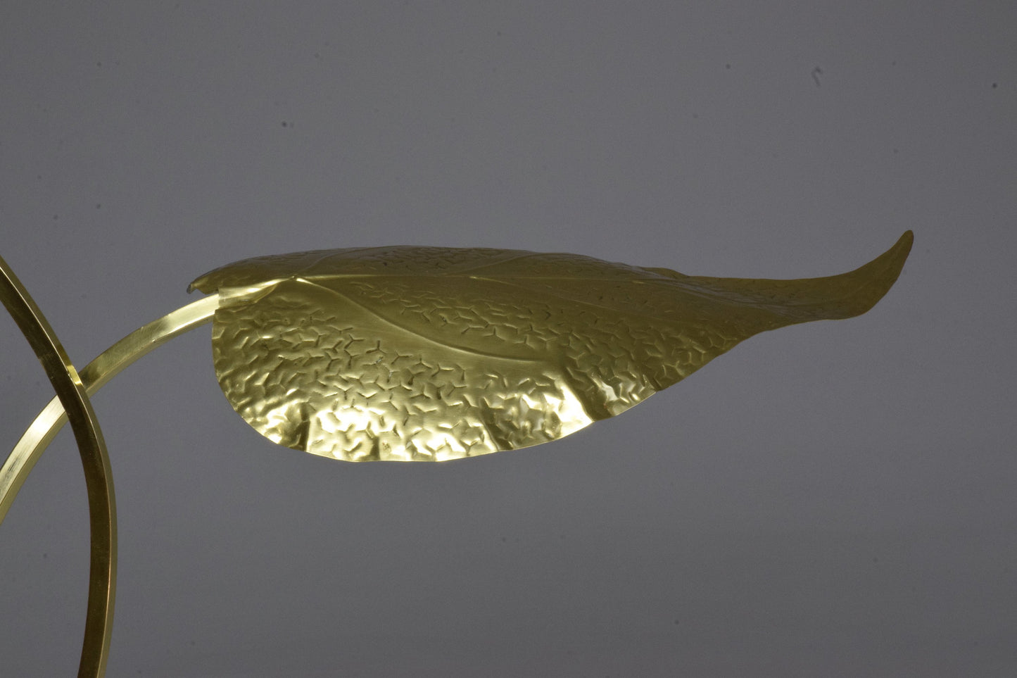 20th Century Rare Brass Floor Lamp by Tommaso Barbi, 1970's - Spirit Gallery