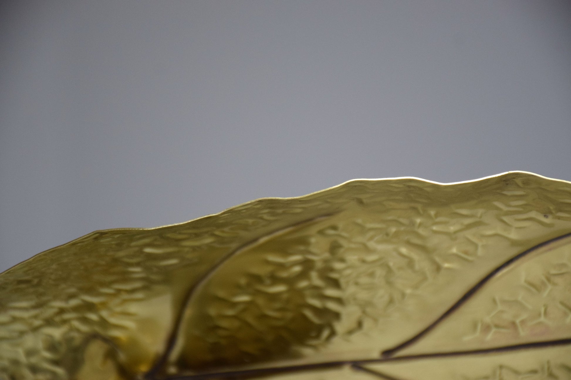 20th Century Rare Brass Floor Lamp by Tommaso Barbi, 1970's - Spirit Gallery
