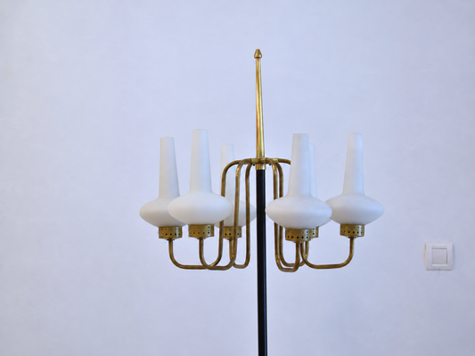 Italian Six-Light Brass & Opaline Floor Lamp, 1950s